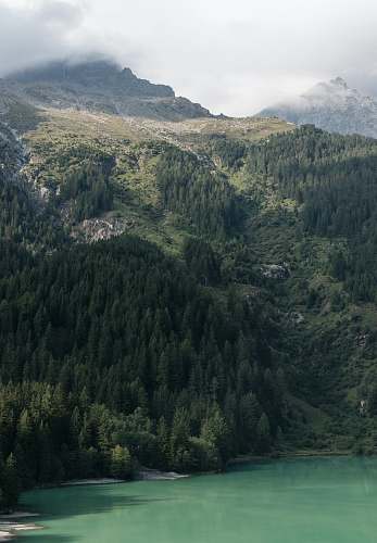 iphone backgrounds green trees and mountains near green body of water nature